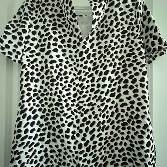 ANN TAYLOR • Animal Print Short Sleeve Dress • 6P • - Picture 5 of 8